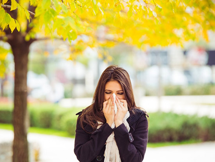 Don’t let fall allergies leave you in the cold - News | UAB