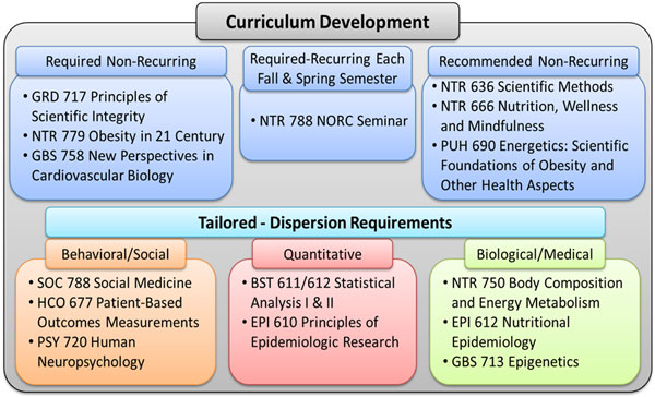 Curriculum Development Diagram