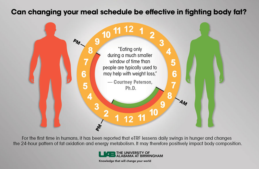 Diagram showing how changing meal schedule can be effective in fighting body fat. 