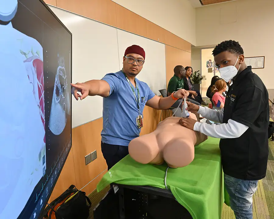 Pathway to Professional Nursing