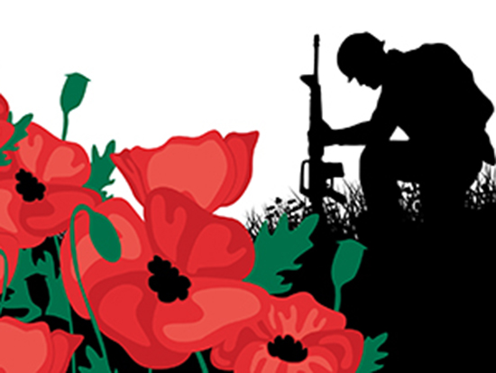 Poppies in bloom surround a kneeling soldier in this illustration