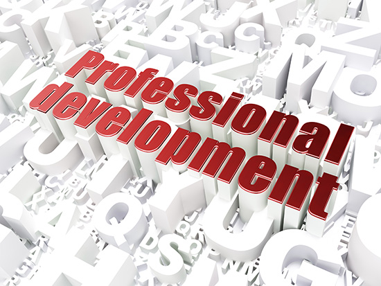 professional development sized