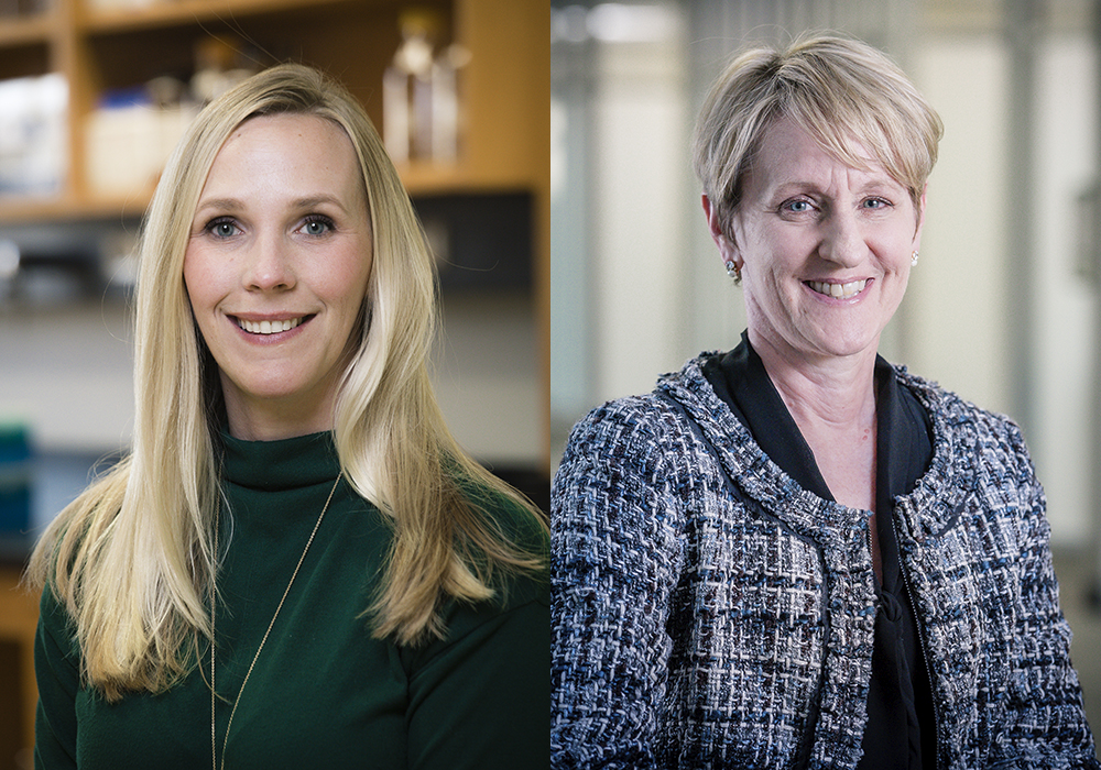 2 women faculty create new experiences as Honors Faculty Fellows