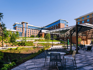 Visit these outdoor oases on UAB&#039;s campus