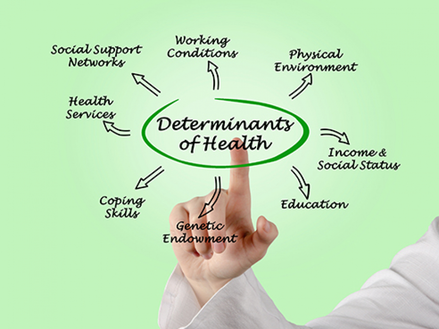 Toolkit Provides Research Resources For Social Determinants Of Health ...