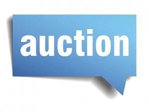 Surplus auction to be held July 20