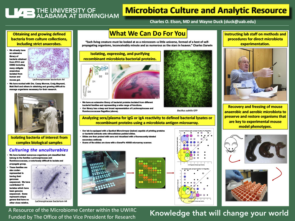 Microbiota Culture and Analytic Resource