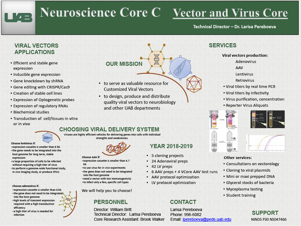 Nueroscience Core C