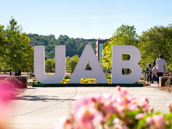 Framework for Research Submissions