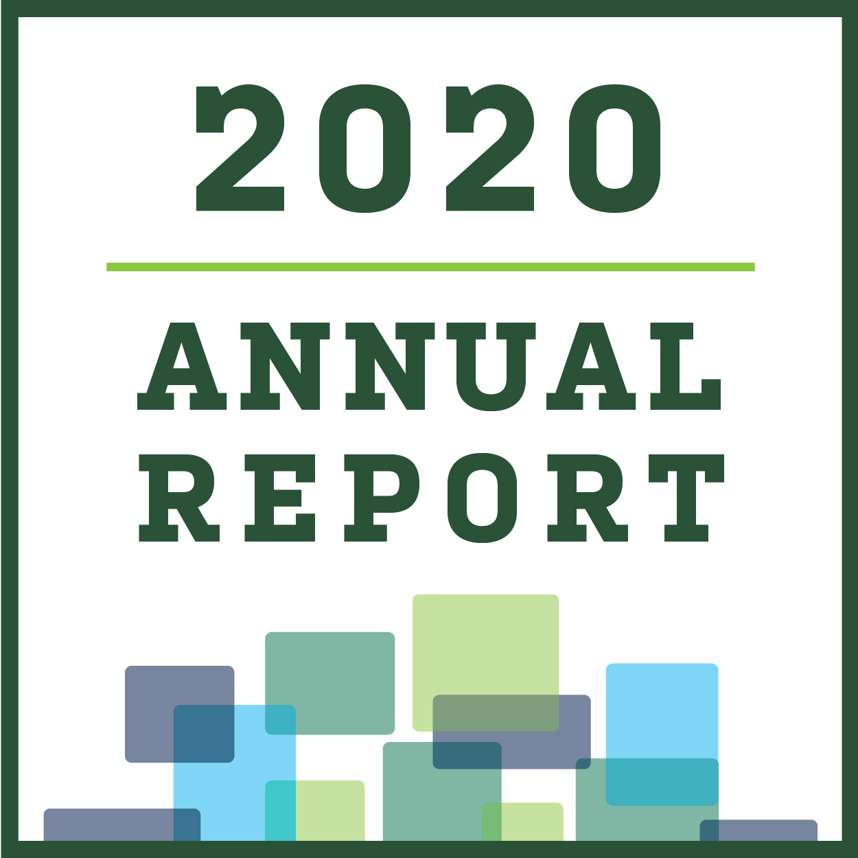 2020 Annual Report