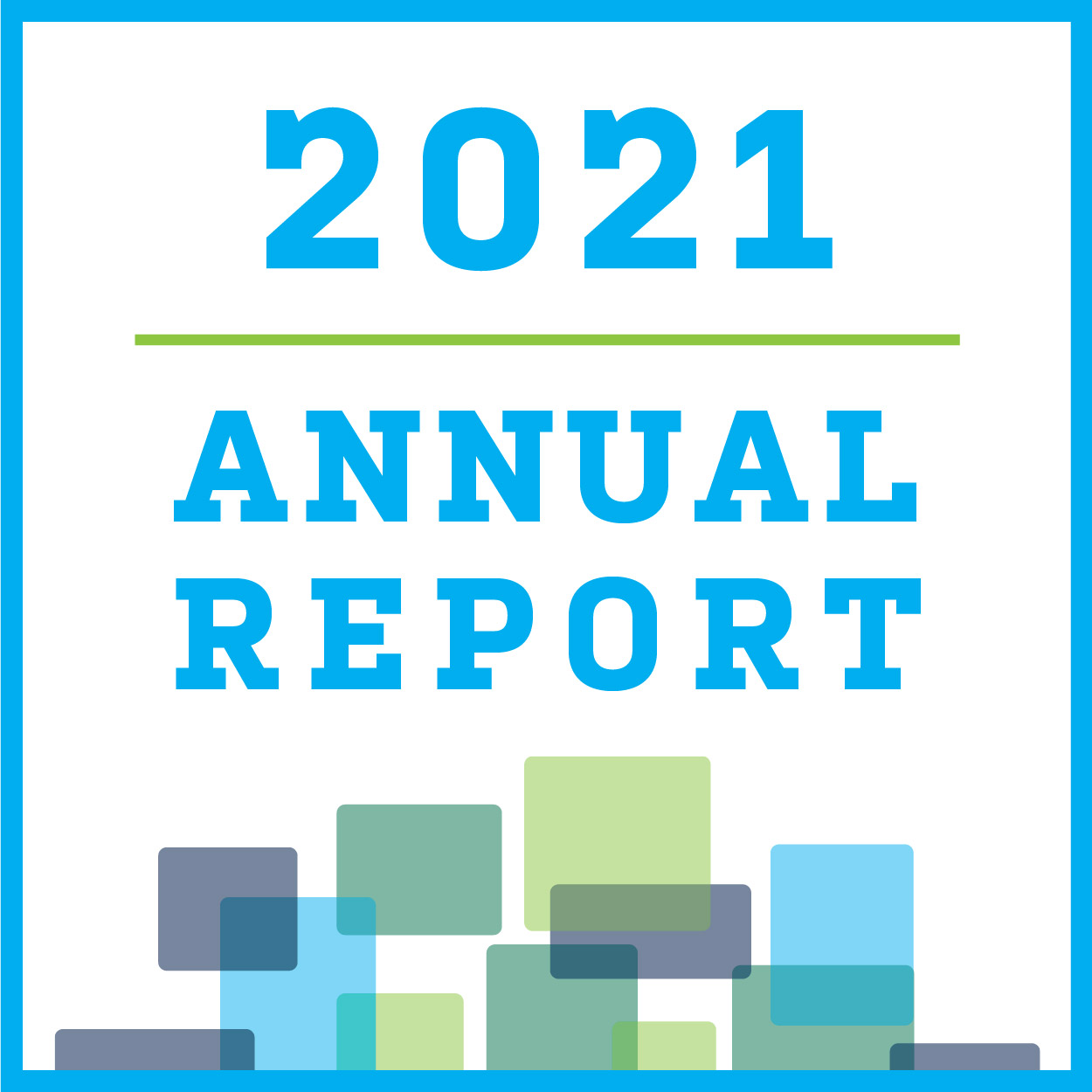 2021 Annual Report