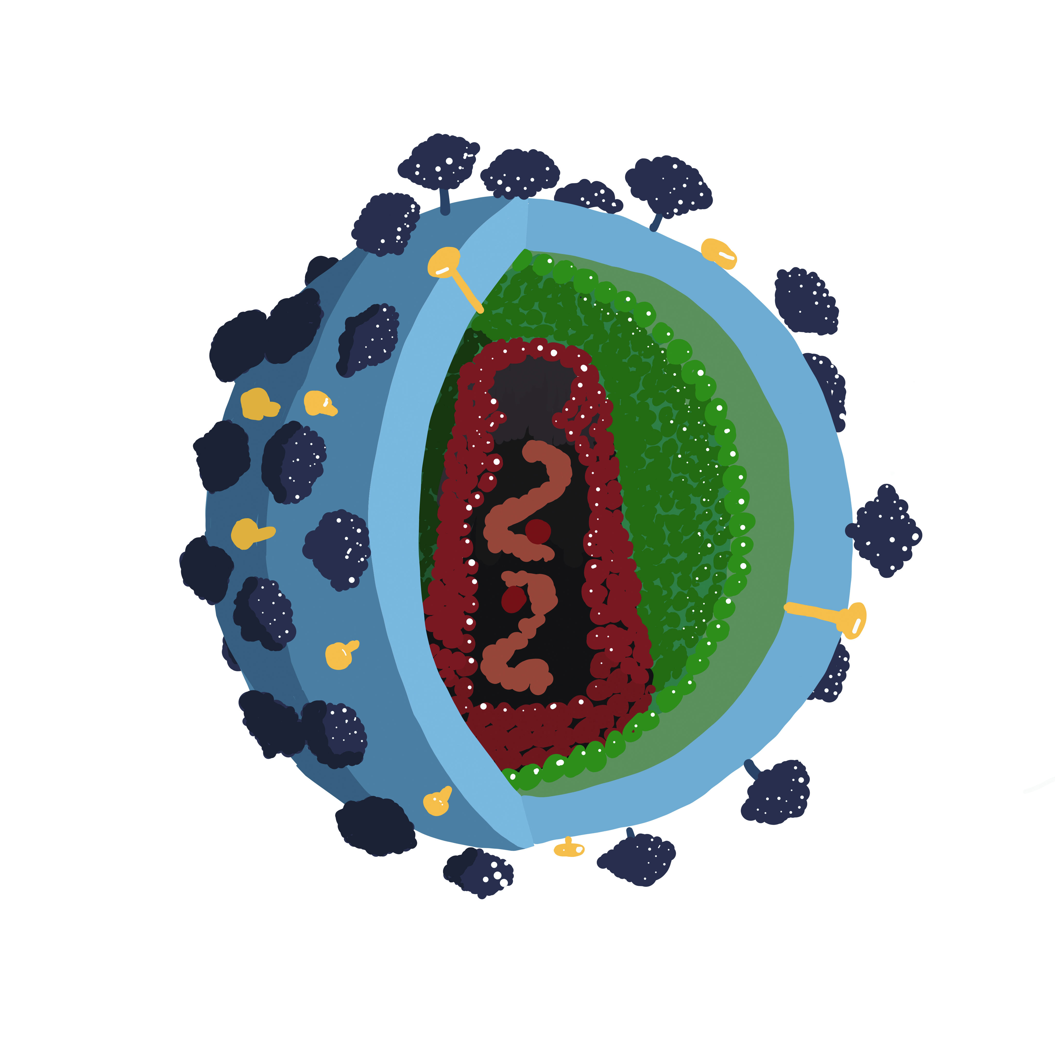 hiv molecule