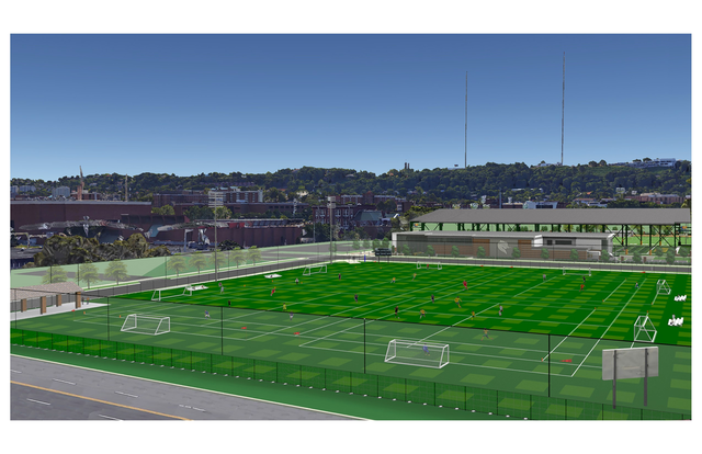 intramural field rendering