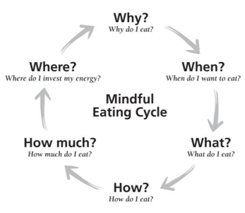 mindful eating cycle