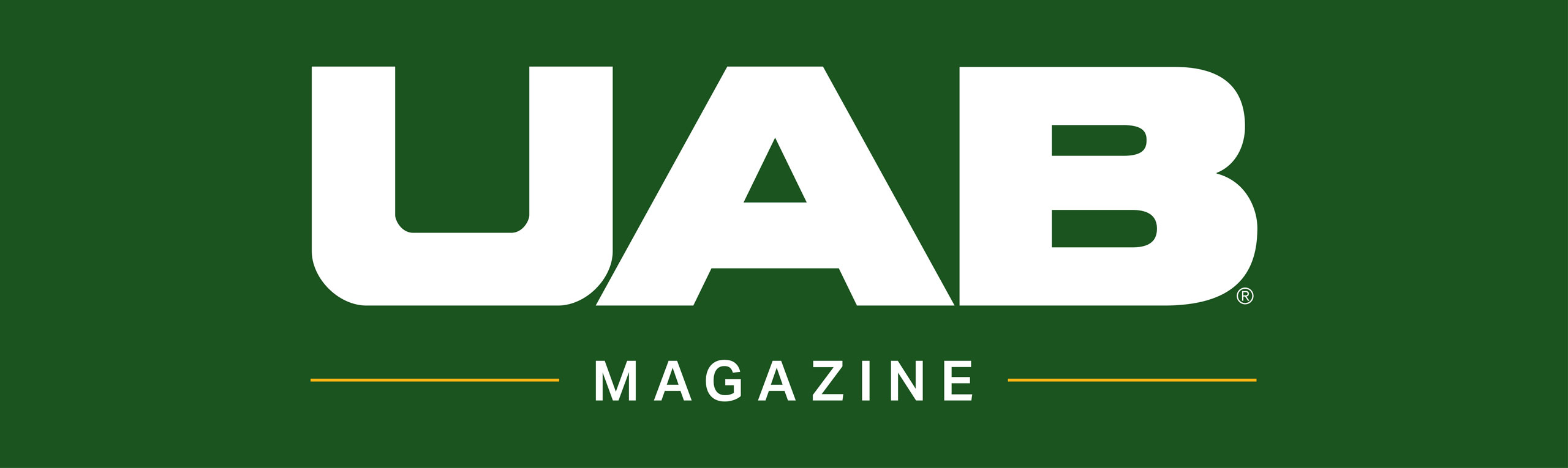 magazine banner