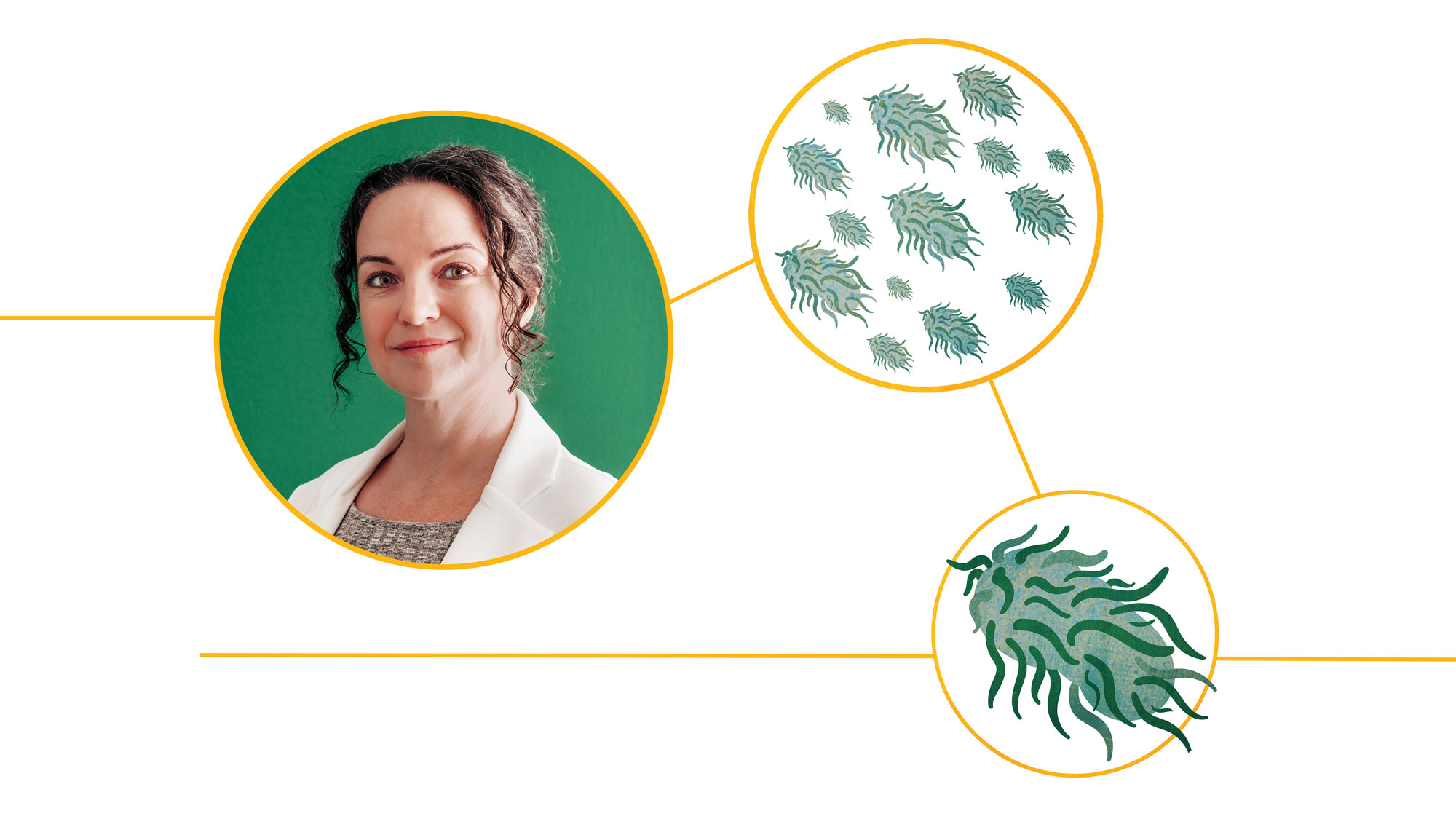 Angela Carter, Ph.D., Assistant Professor, Surgery