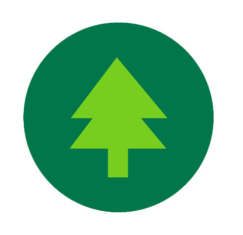 Photo: Icon of a tree with a green background.